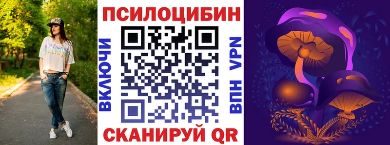 Псилоцибиновые грибы Psilocybine cubensis  Астрахань 